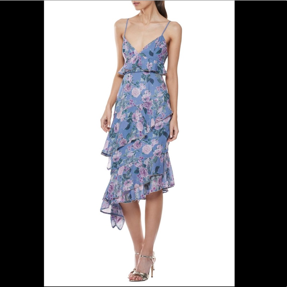 La Maison Talulah purple dress (size S) worn once!